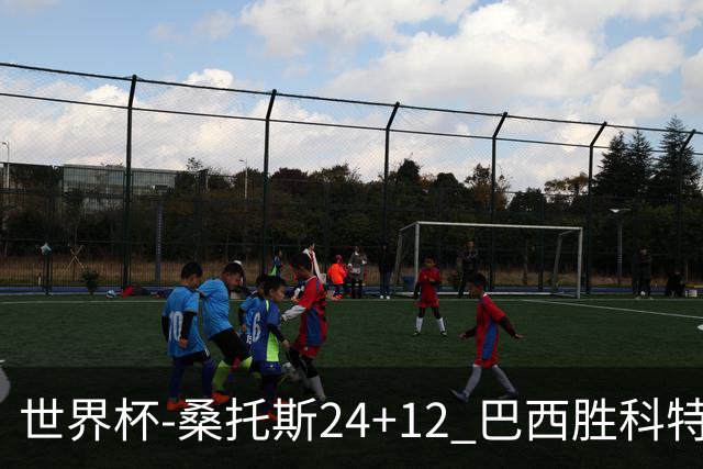 世界杯-桑托斯24+12 巴西胜科特迪瓦成功晋级